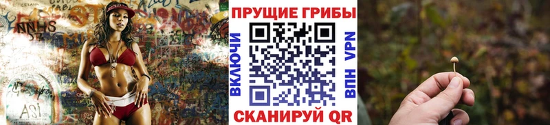Купить где  Вихоревка  Псилоцибиновые грибы Magic Shrooms 